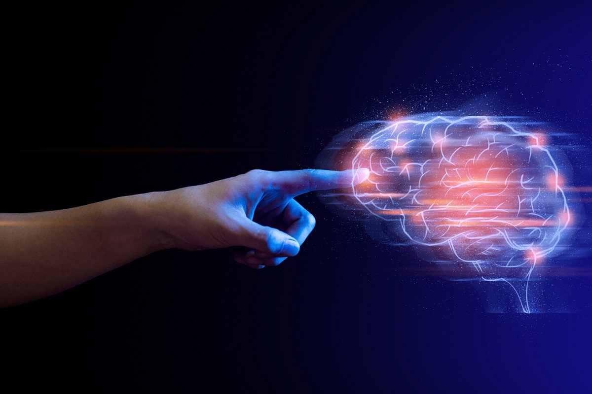 Tocando un holograma del cerebro
